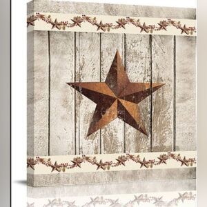Western Texas Star Canvas Wall Art